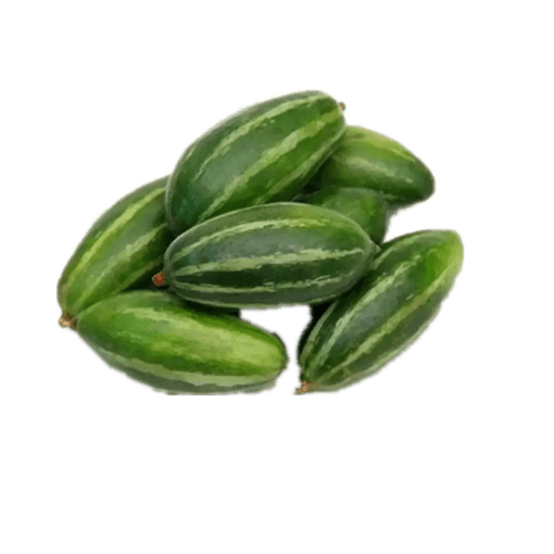 পটল